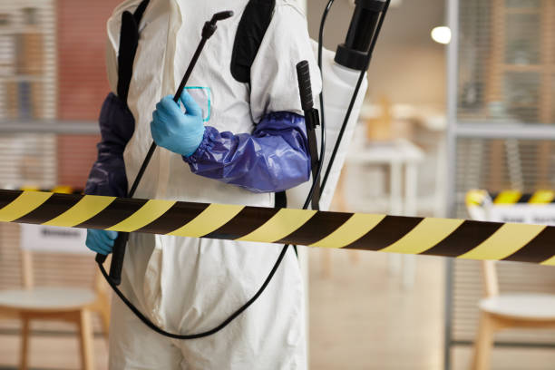 Professional Sewage Cleanup technician working in Neshanic Station, NJ